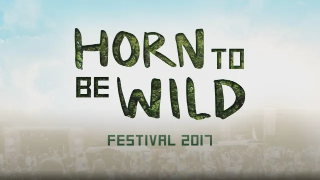 Vorschaubild des Aftermovies 2017 - Künstler auf der Waldbühne