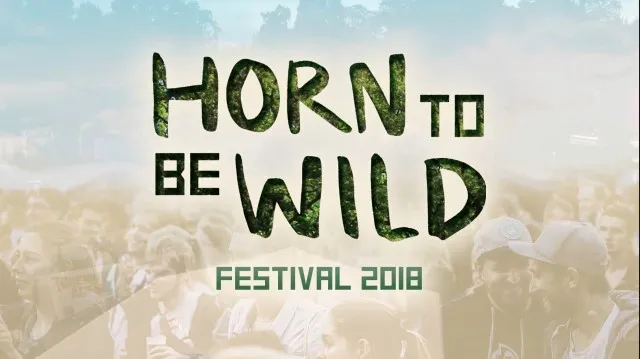 Vorschaubild des Aftermovies 2018 - Künstler auf der Waldbühne