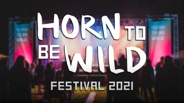 Vorschaubild des Aftermovies 2021 - Künstler auf der Waldbühne