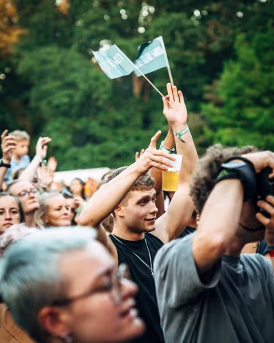 Bunte Lichtinstallation im Waldgebiet